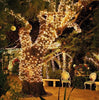 Set 2 x Decoratiune cu Incarcare Solara 100 LED, 10 Metri - Alb Cald